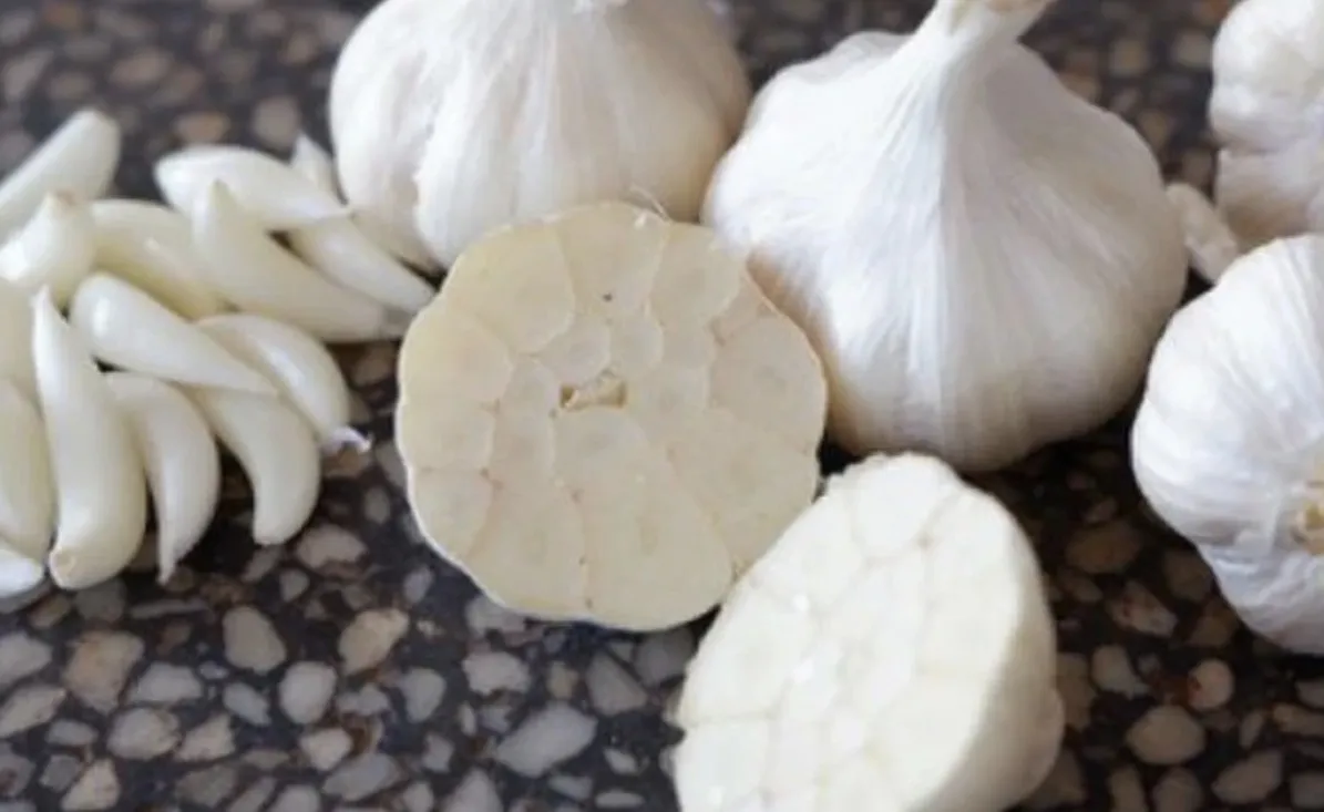 Fresh Garlic Ninh Thuan Vietnam