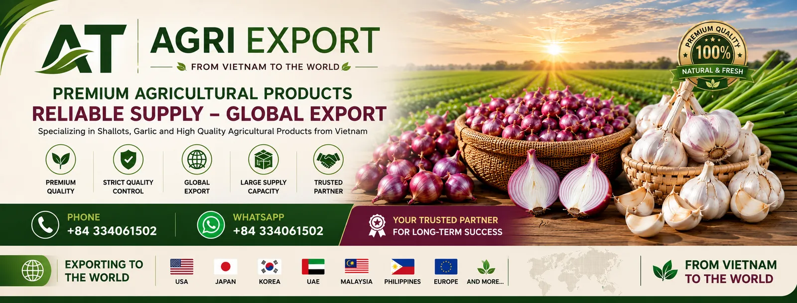 AT Agri Export Vietnam Shallots & Garlic Fields